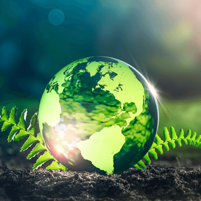 Every Day is Earth Day at The London Brow Company